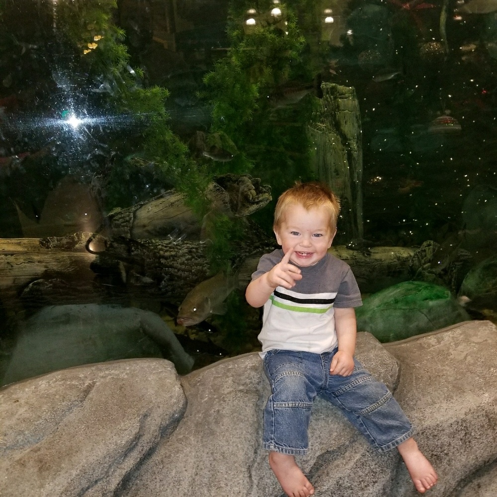 Meet your Posher, Beana